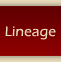 Lineage